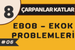Ebob ve ekok problemleri